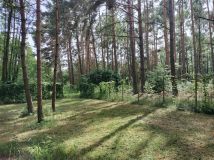 Działka inna Chomiąża Szlachecka. Zdjęcie 1
