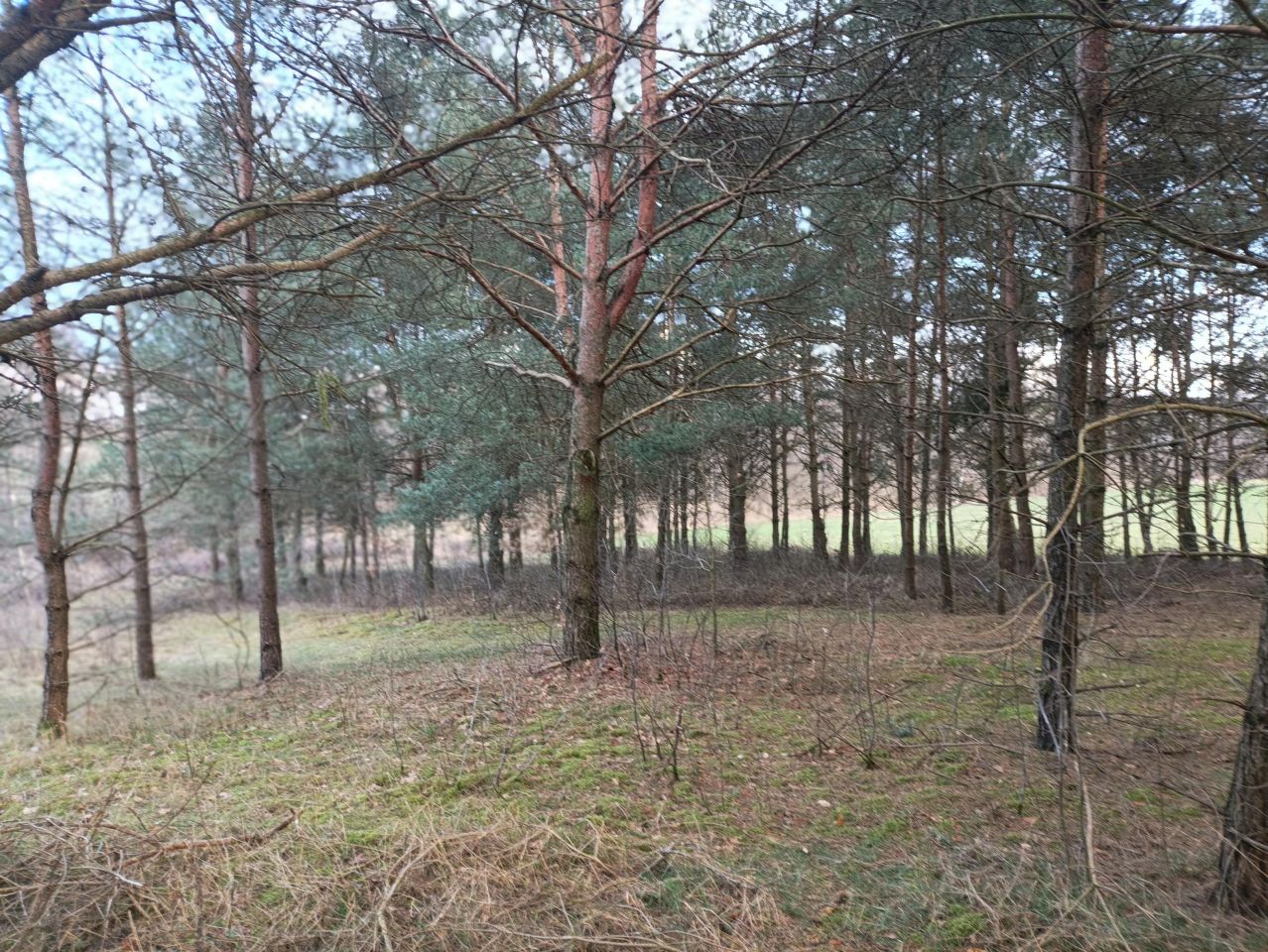 Działka budowlana Wylazłowo. Zdjęcie 14