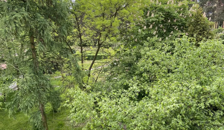 Mieszkanie 2-pokojowe Olkusz Pakuska, ul. Strzelców Olkuskich