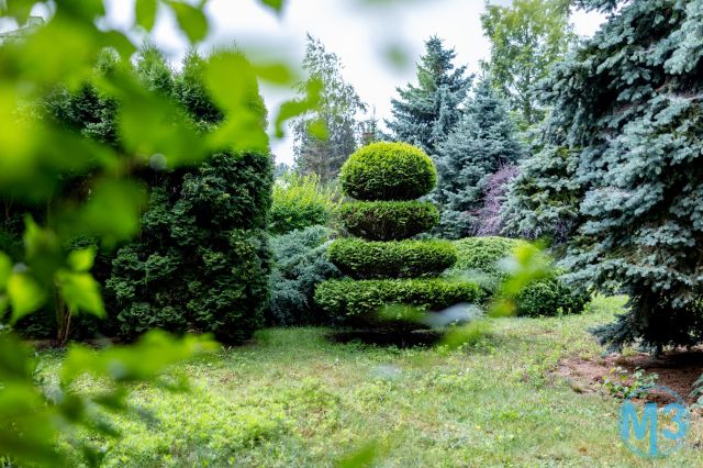 Lokal Stalowa Wola Rozwadów, ul. Rozwadowska. Zdjęcie 18