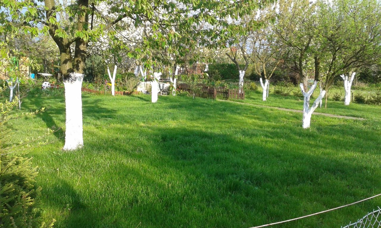 Działka rod Legnica, ul. Chojnowska. Zdjęcie 5