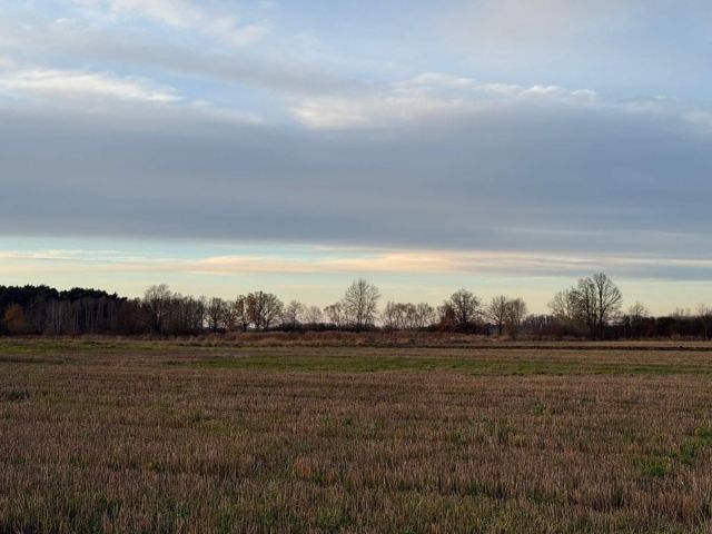 Działka rolna Oleśniczka. Zdjęcie 16