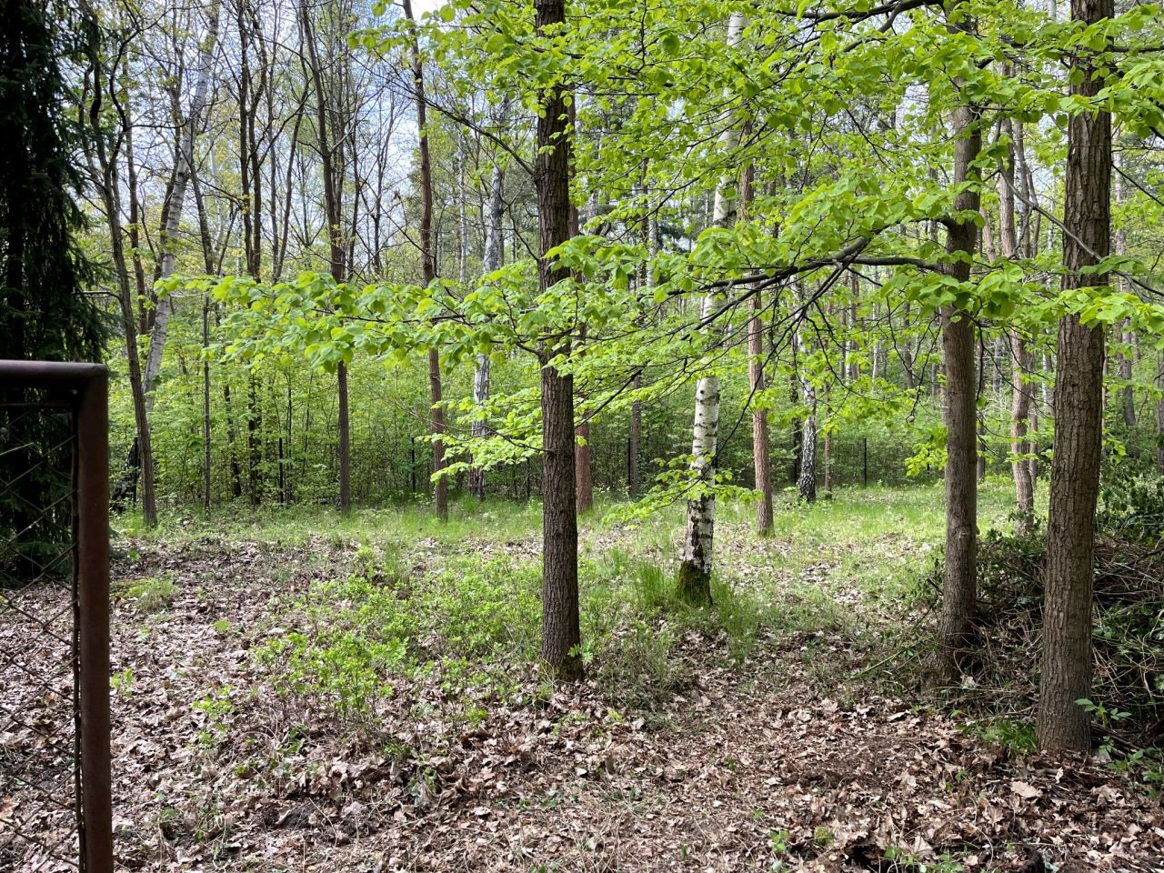 Działka budowlana Podkowa Leśna, ul. Wiewiórek. Zdjęcie 1