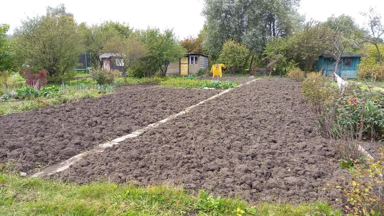 Działka rod Gdańsk Olszynka, ul. Kacza. Zdjęcie 2