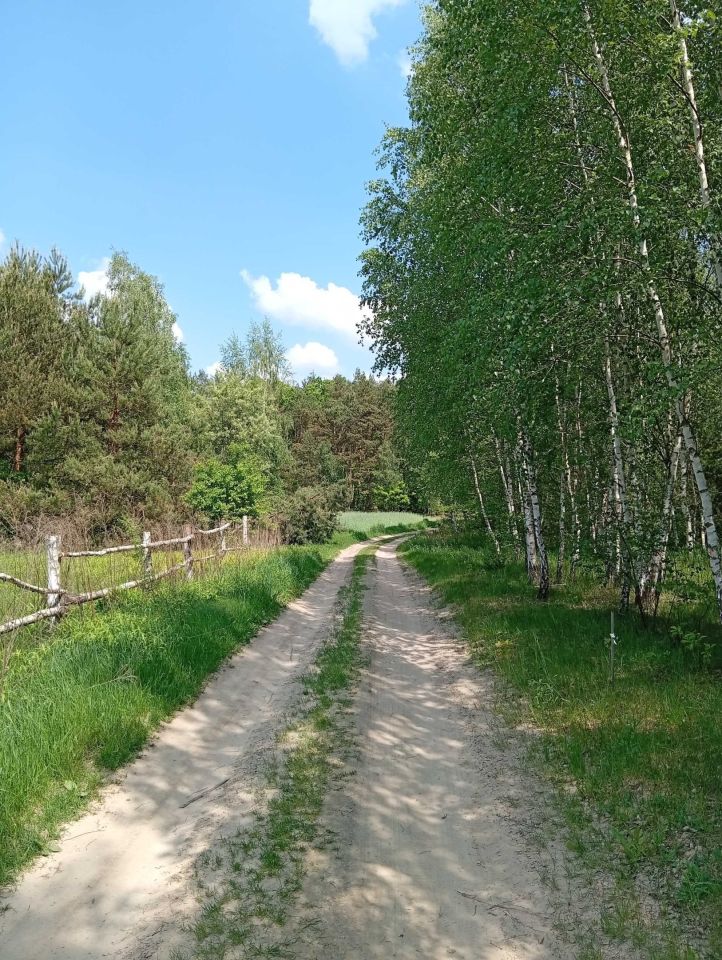 Działka budowlana Wilamy. Zdjęcie 4