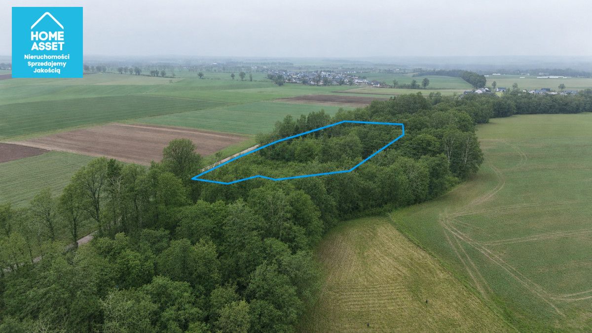 Działka budowlana Werblinia, ul. Leśna. Zdjęcie 10