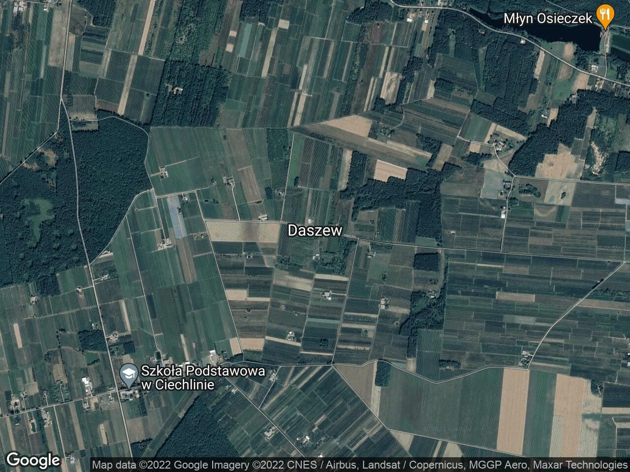 Działka rolna Daszew. Zdjęcie 1