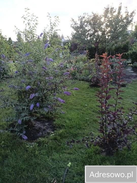 Działka rod Grudziądz Tuszewo, ul. Ludwika Waryńskiego. Zdjęcie 10