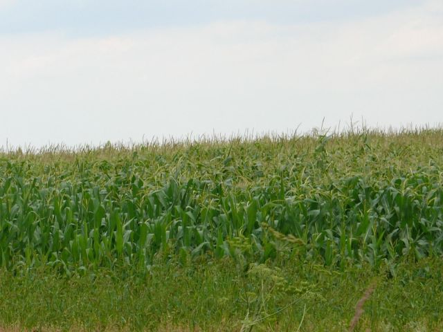 Działka inwestycyjna Krapkowice, ul. Opolska. Zdjęcie 1