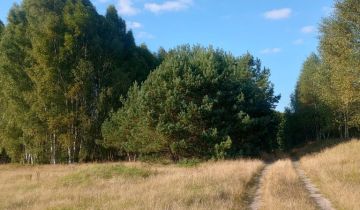 Działka rolna Spore