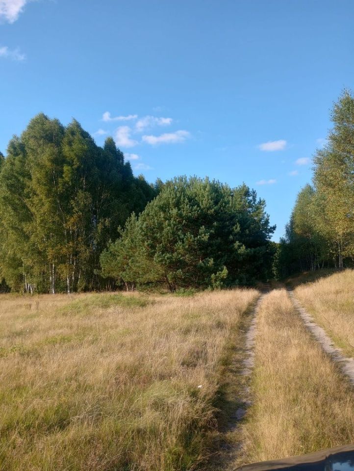 Działka rolna Spore