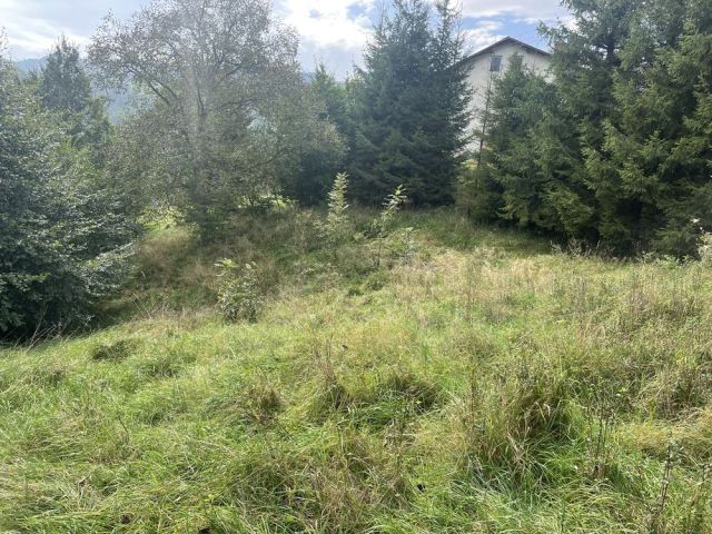 Działka budowlana Rytro. Zdjęcie 1