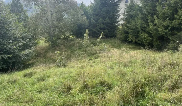 Działka budowlana Rytro