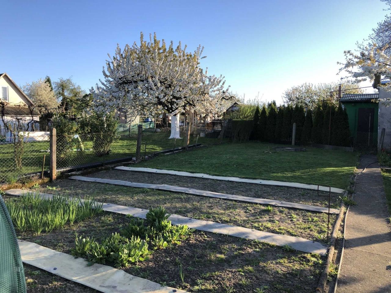 Działka rod Szczecin Bukowe, ul. Bogumińska. Zdjęcie 8