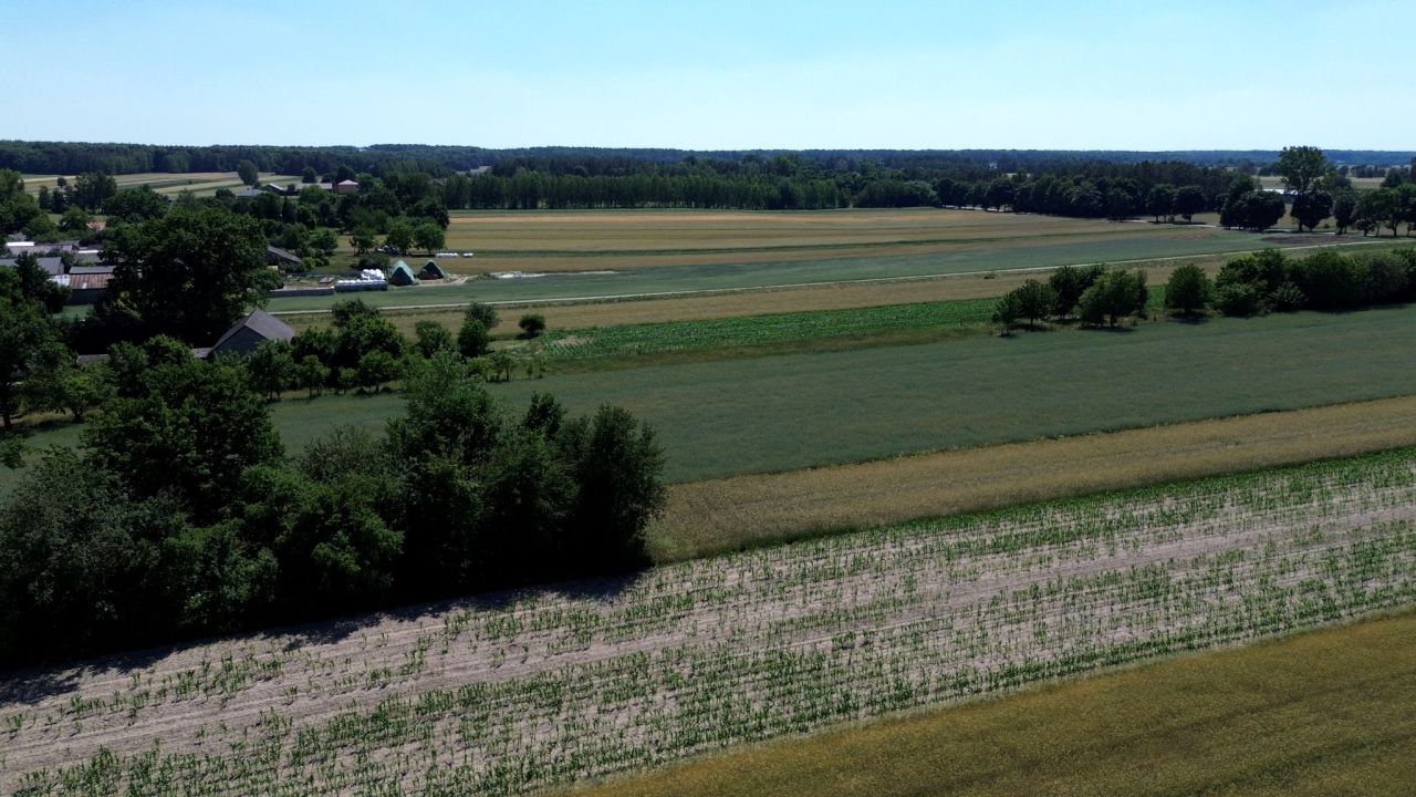 Działka rolno-budowlana Retniowiec. Zdjęcie 6