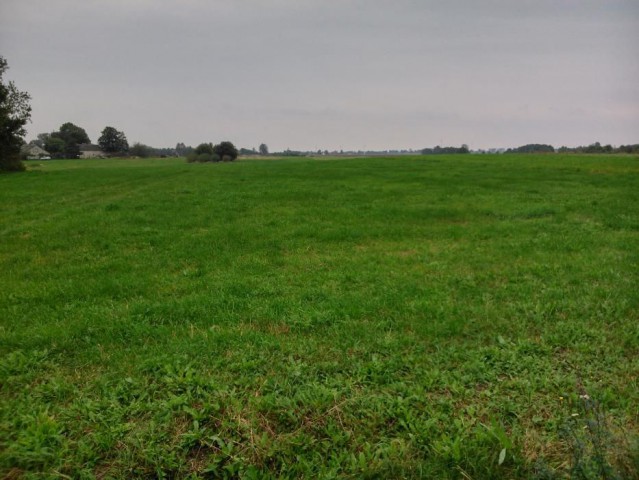 Działka rolna Zamoście-Kolonia. Zdjęcie 1
