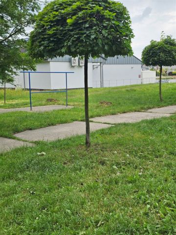 Mieszkanie 2-pokojowe Olkusz Centrum, ul. Marcina Bylicy. Zdjęcie 20