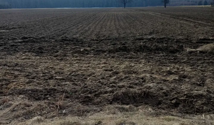 Działka budowlana Dąbrowa Tarnawacka