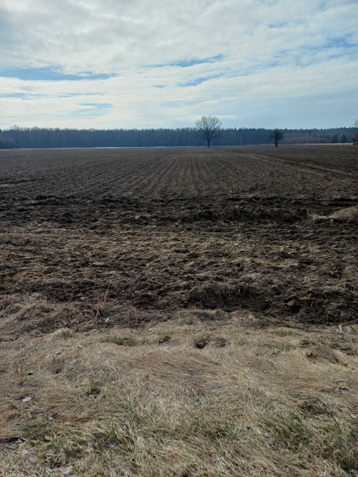 Działka budowlana Dąbrowa Tarnawacka. Zdjęcie 1