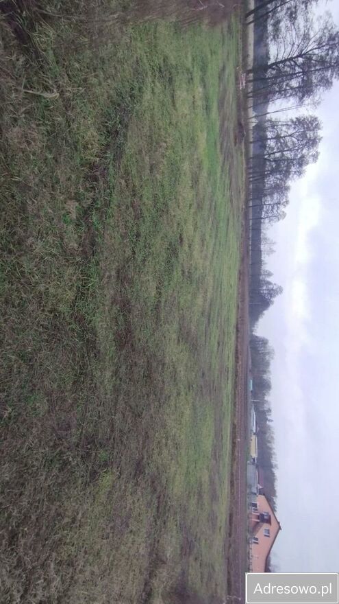 Działka budowlana Wygoda. Zdjęcie 3