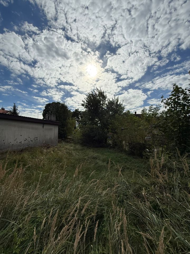 Zdjęcie 5