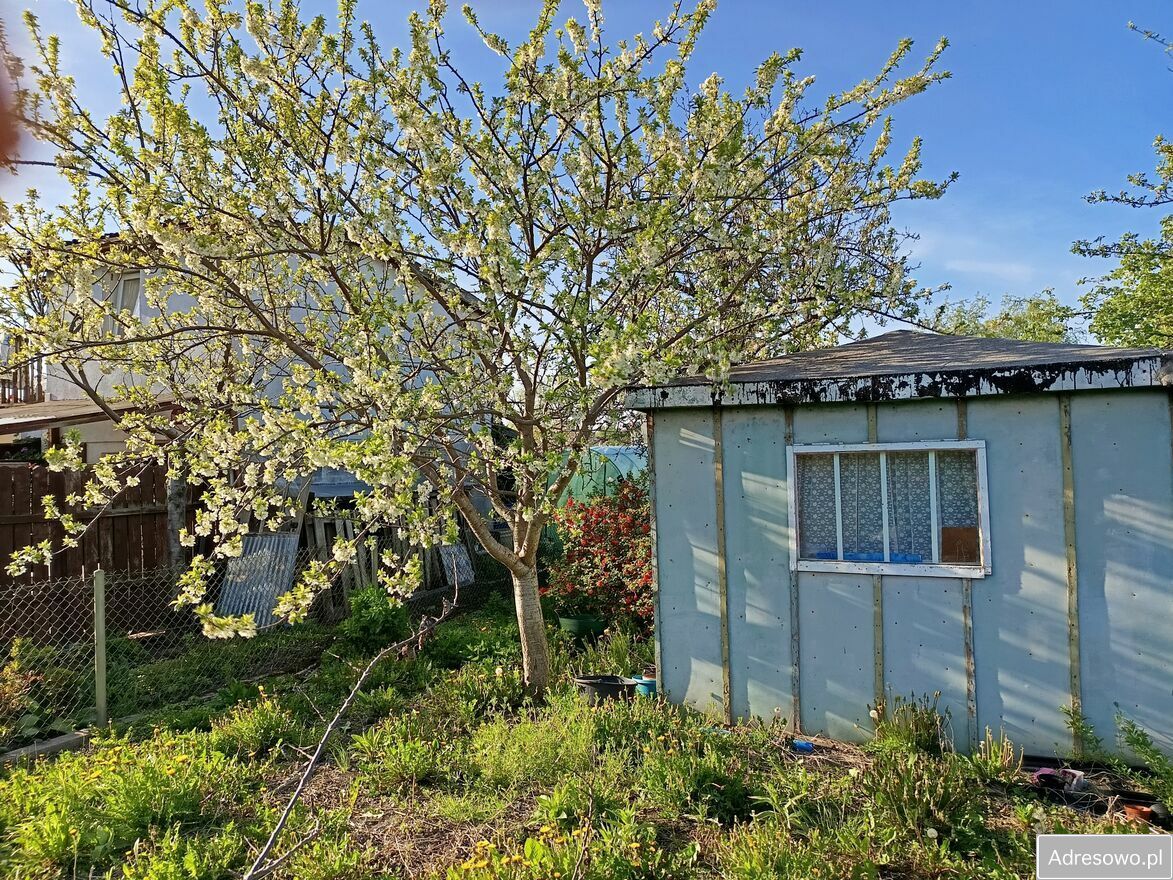 Działka rod Gdańsk. Zdjęcie 3