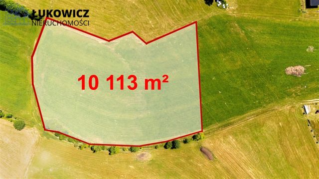 Działka leśna Pieniążkowice. Zdjęcie 14