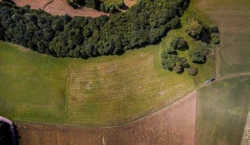 Działka budowlana Połęczyno