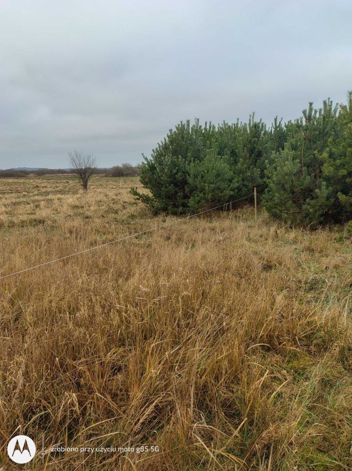 Działka rekreacyjna Karnice. Zdjęcie 6