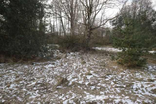 Działka budowlana Nekielka, ul. Kwiatowa. Zdjęcie 7