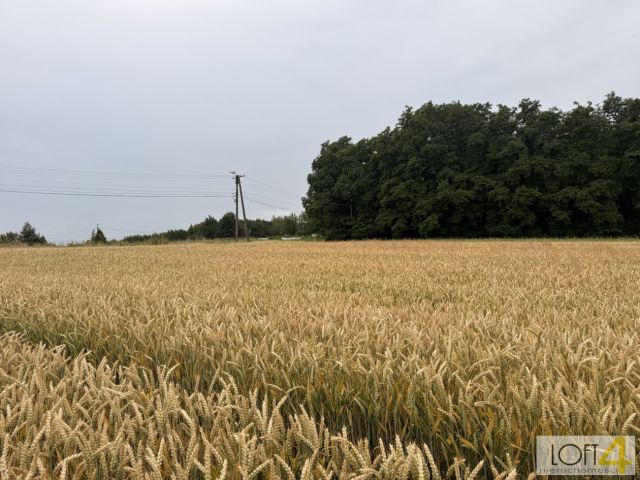 Działka rolno-budowlana Wojnicz. Zdjęcie 13