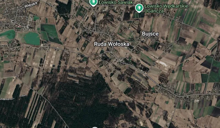 Działka rolno-budowlana Ruda Wołoska Groszki, ul. Olchowa