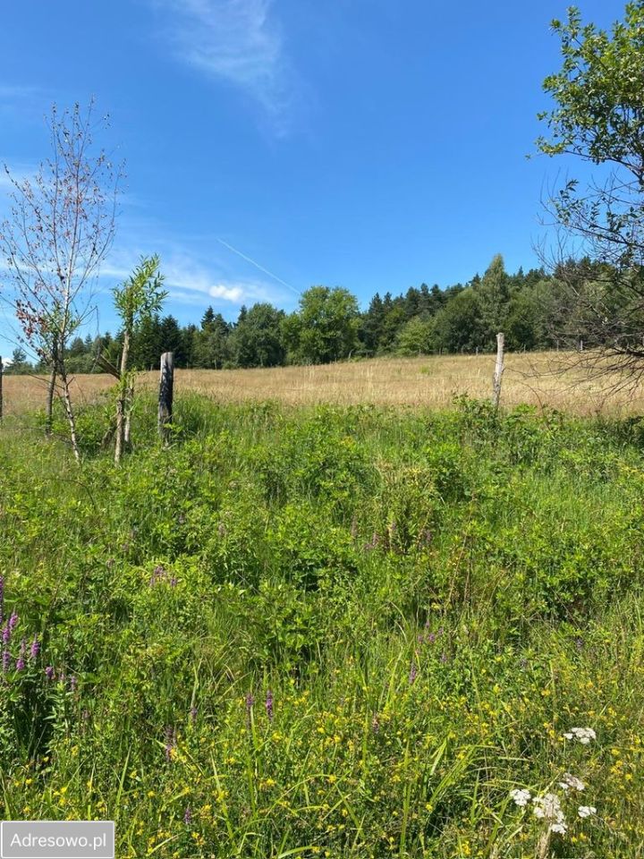 Działka rolna Ropienka. Zdjęcie 3