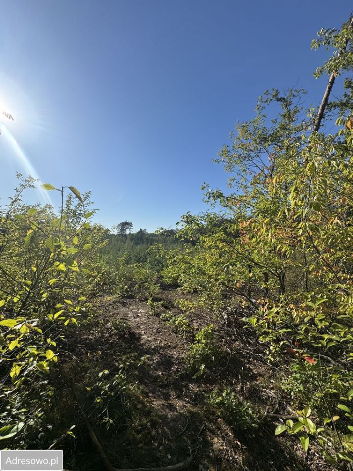 Działka budowlana Tuszyn, ul. Szpitalna. Zdjęcie 3