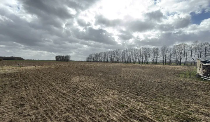 Działka budowlana Koszwały, ul. Jesionowa