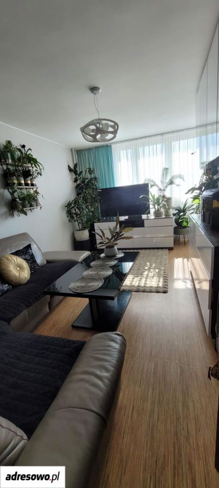 Mieszkanie 3-pokojowe Oleśnica Centrum, pl. Zwycięstwa. Zdjęcie 19