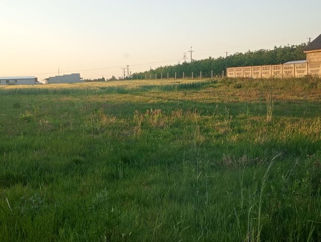 Działka rolno-budowlana Kowala-Kolonia. Zdjęcie 1