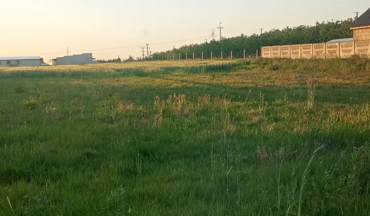 Działka rolno-budowlana Kowala-Kolonia
