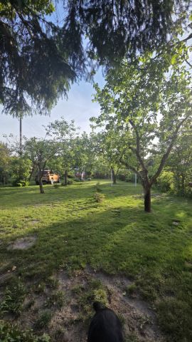 dom wolnostojący, 2 pokoje Chylice-Kolonia, ul. Pomorska. Zdjęcie 5
