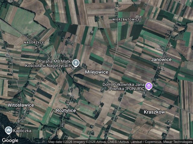 Działka leśna Milejowice, Milejowice. Zdjęcie 1