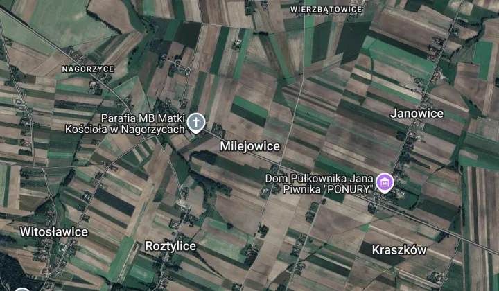 Działka leśna Milejowice, Milejowice