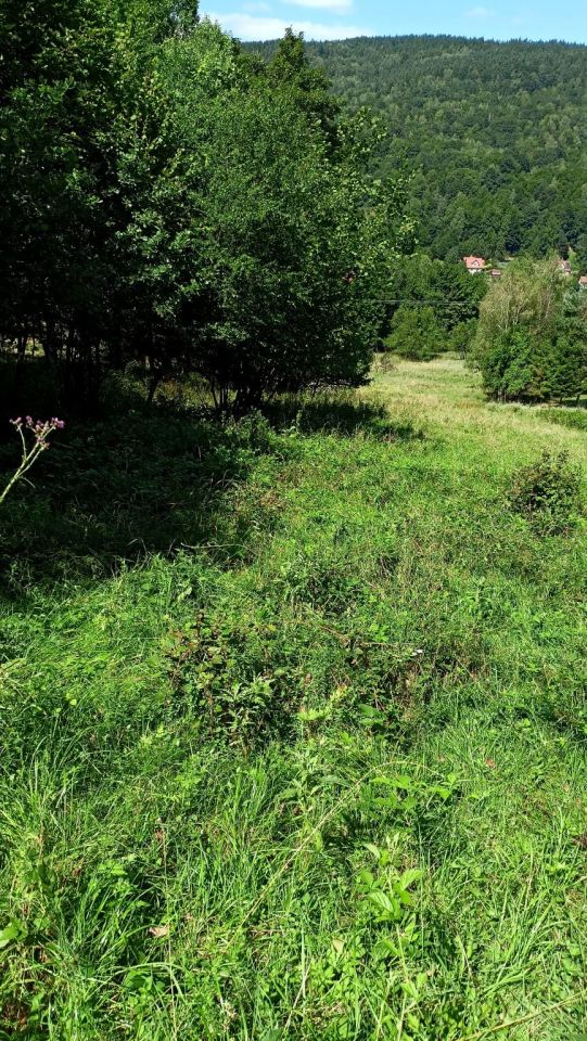 Działka budowlana Sucha Beskidzka Role. Zdjęcie 8