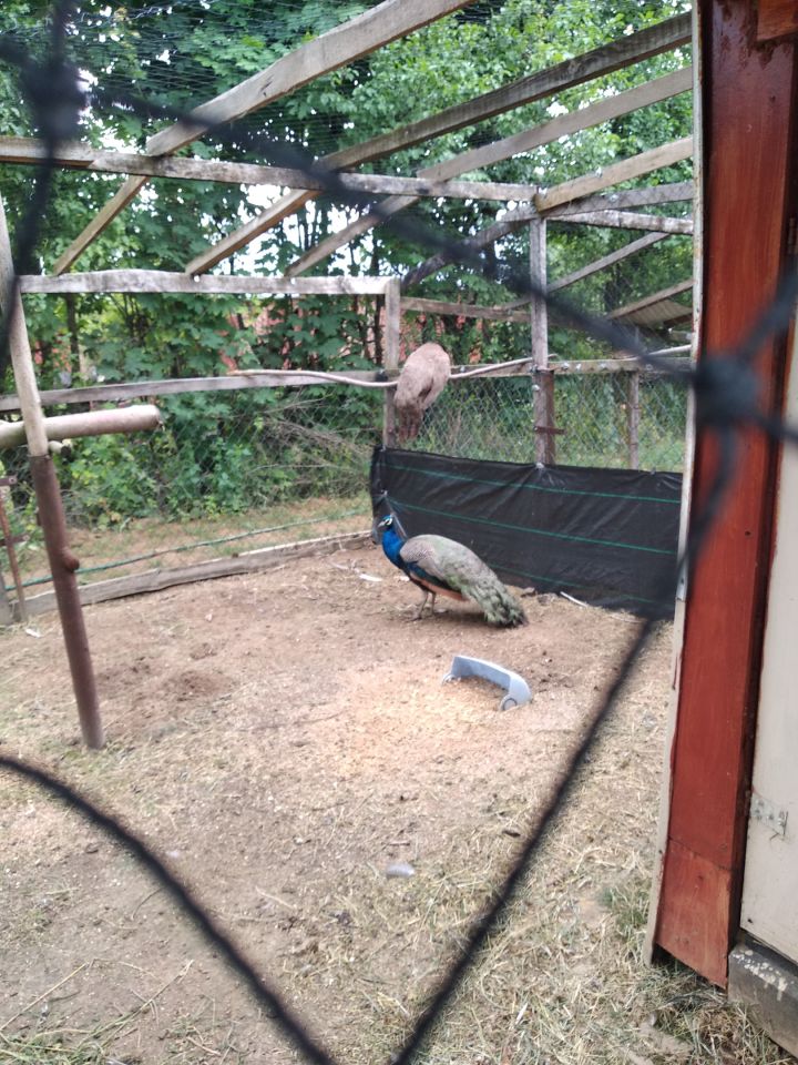 Działka rolno-budowlana Bronice. Zdjęcie 7