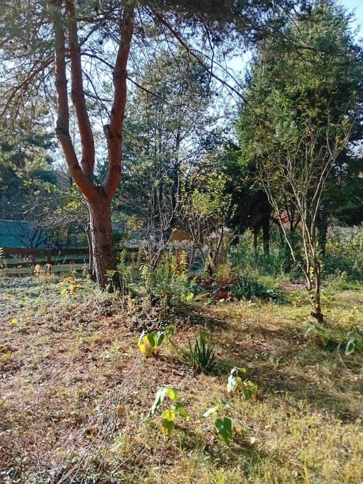 Działka rod Radom Godów, ul. Ciborowska. Zdjęcie 7