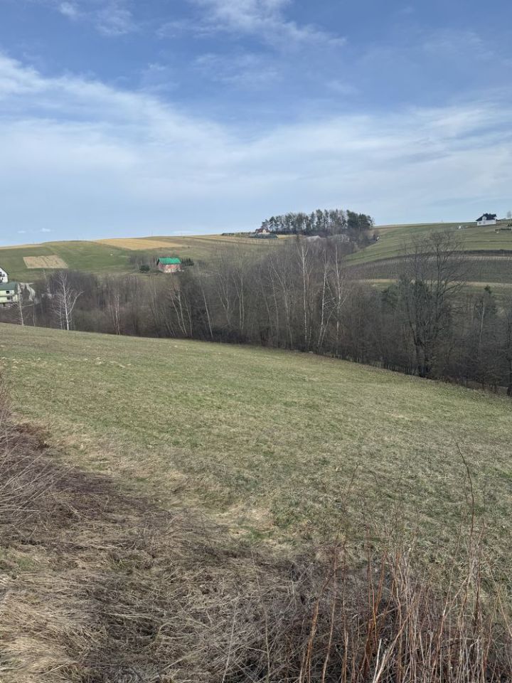 Działka rolna Jasienna. Zdjęcie 1