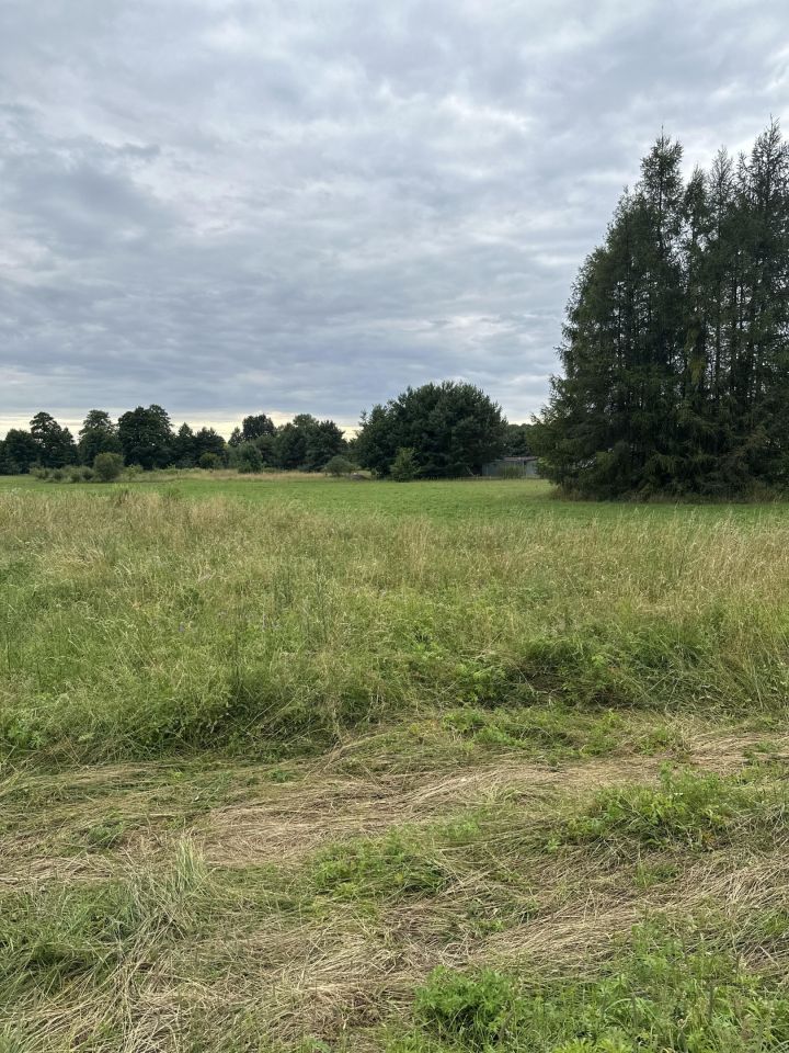 Działka budowlana Przeczyce Zarzecze, ul. Zarzeczna. Zdjęcie 7