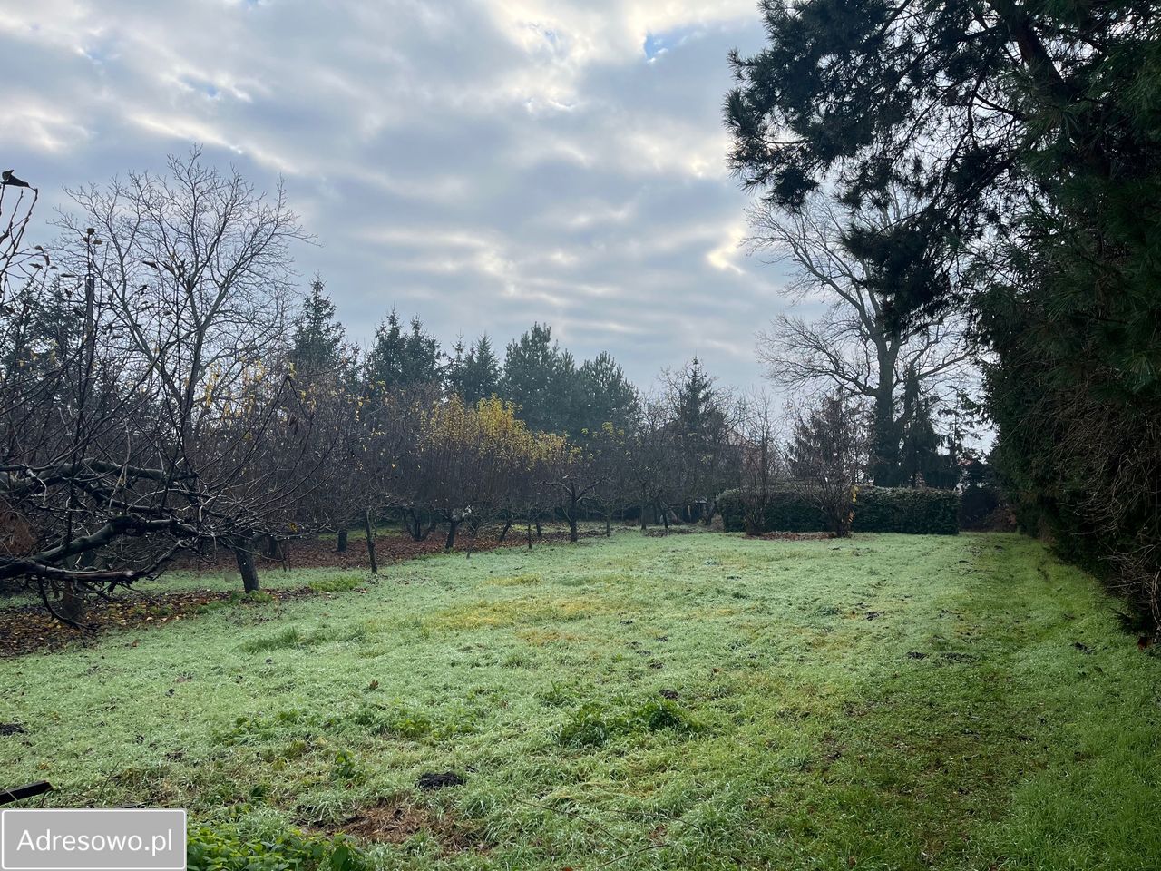 Działka budowlana Wińsko, ul. Rawicka. Zdjęcie 6