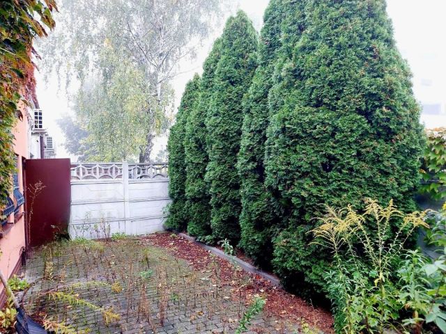 Lokal Opole. Zdjęcie 8