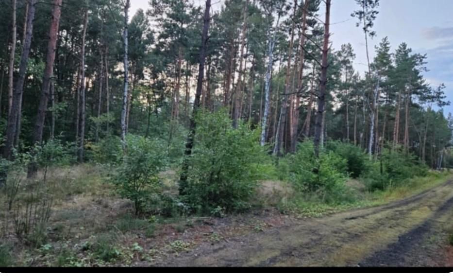 Działka budowlana Solec Kujawski, ul. Garbary. Zdjęcie 3