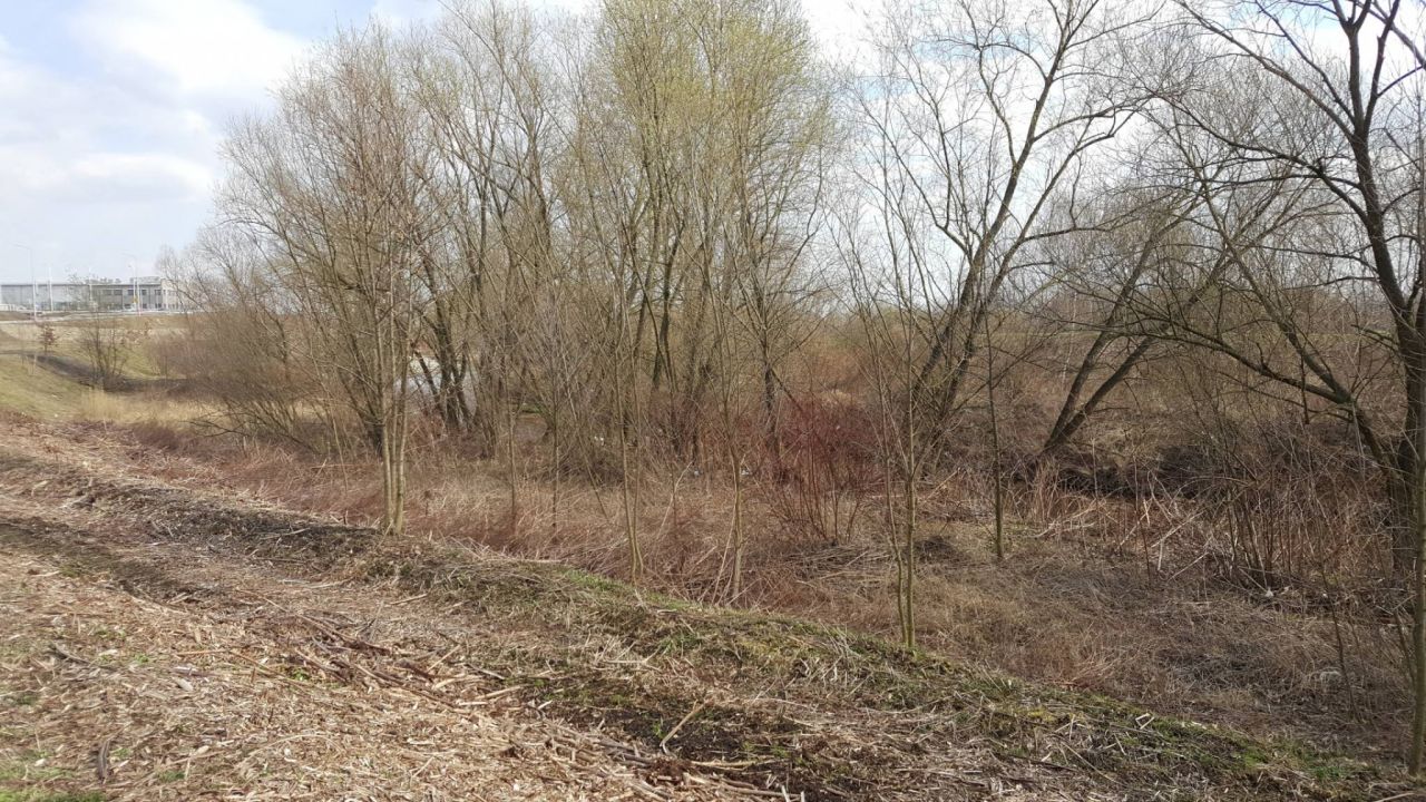 Działka inna Kaniów. Zdjęcie 6